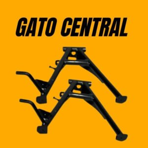gato central