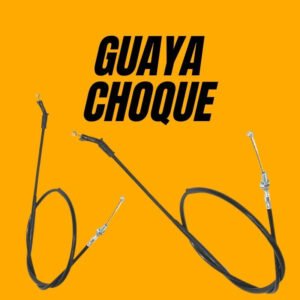 guaya choque