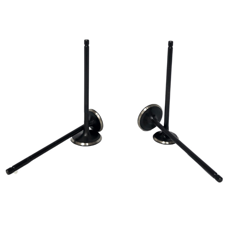 Válvulas de admisión y escape para Bajaj Pulsar 200NS 1 Válvulas de admisión y escape para Bajaj Pulsar 200NS